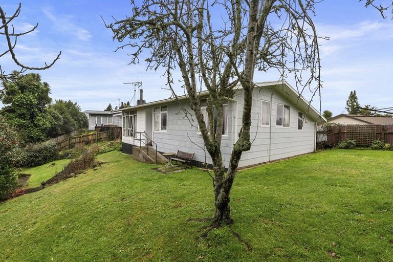 Photo of property in 129 Tirau Street, Putaruru, 3411