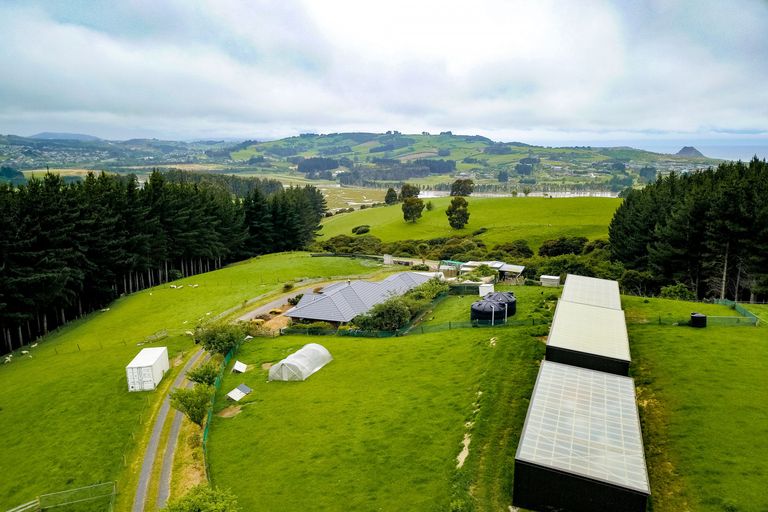 Photo of property in 199 Old Brighton Road, Fairfield, Dunedin, 9076