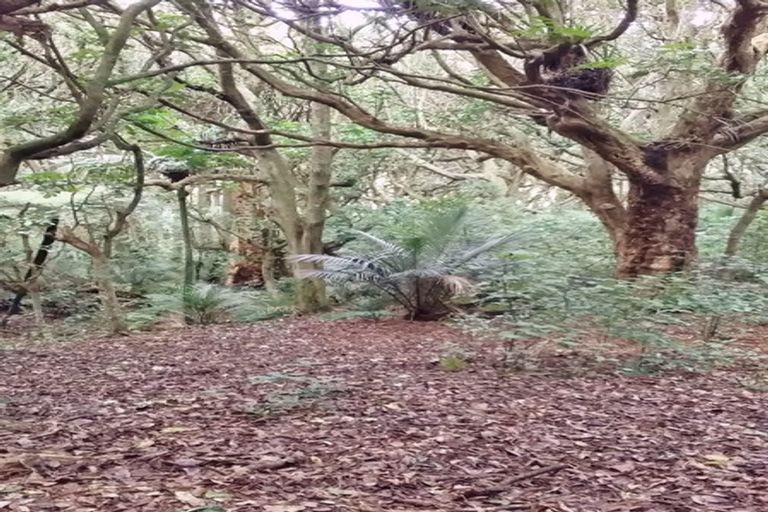 Photo of property in 2431 Awhitu Road, Awhitu, Waiuku, 2684