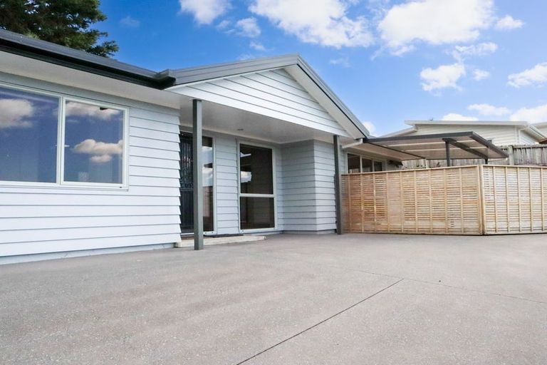 Photo of property in 16 Madison Place, Morningside, Whangarei, 0110