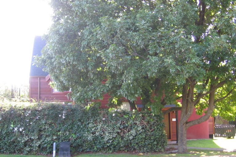 Photo of property in 59 Manuwai Drive, Matua, Tauranga, 3110