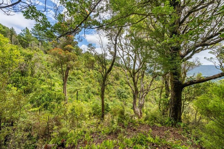 Photo of property in 72 Avro Road, Blue Mountains, Upper Hutt, 5371