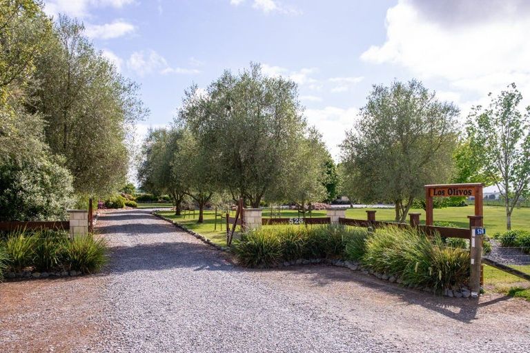 Photo of property in 528 Orari Station Road, Geraldine, 7992