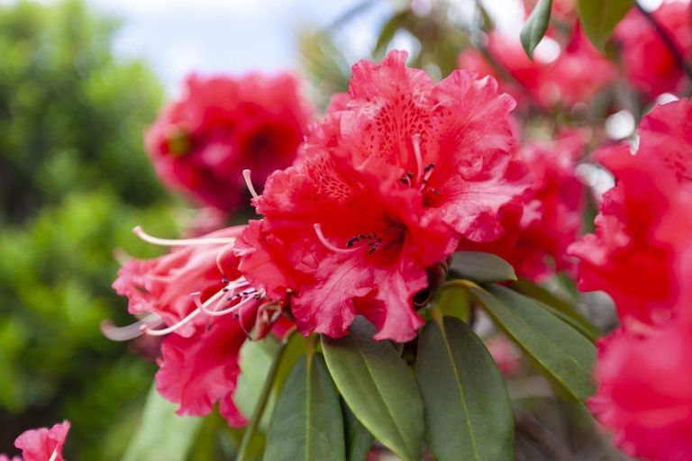 Photo of property in 15a Rosebank Grove, Waikanae, 5036