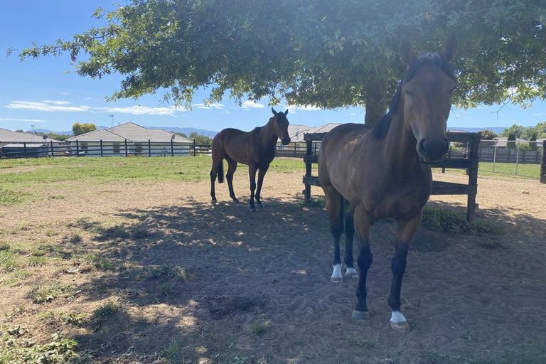 Photo of property in 37 Banks Road, Matamata, 3400