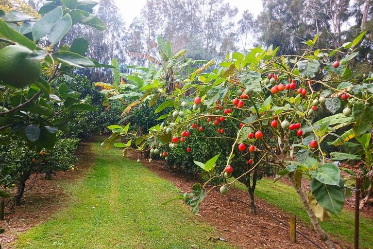 Photo of property in 47 Ness Road, Waipapa, Kerikeri, 0295