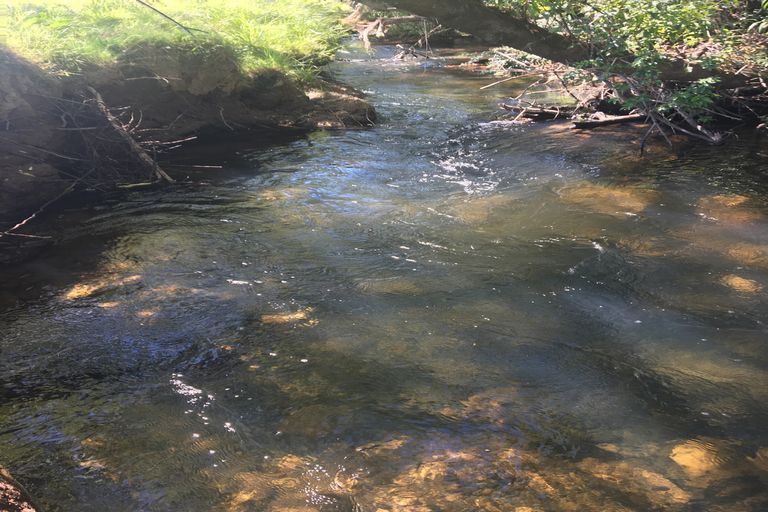 Photo of property in 14 Thompson Road, Kaitaia, 0482