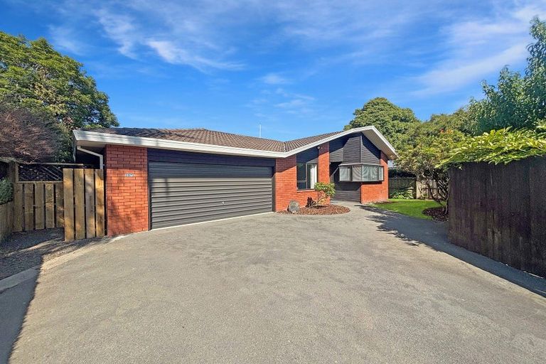 Photo of property in 297b Ashgrove Terrace, Somerfield, Christchurch, 8024