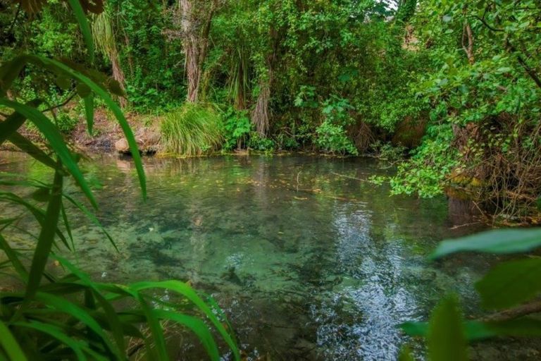 Photo of property in 74 Moffat Drive, Lincoln, 7608