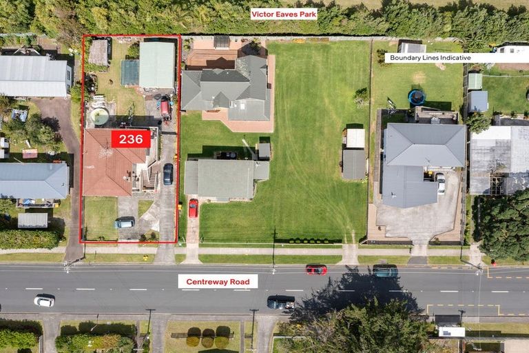 Photo of property in 236 Centreway Road, Orewa, 0931