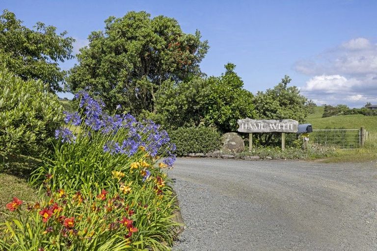 Photo of property in 55 Checkley Road, Raglan, 3295