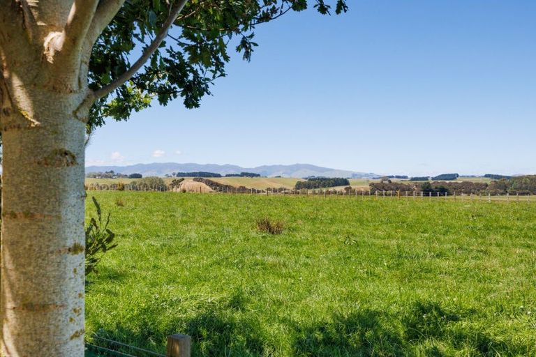 Photo of property in 572 Taonui Road, Colyton, Feilding, 4775