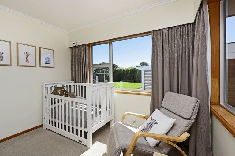 Photo of property in 20 Southwark Avenue, Tamatea, Napier, 4112