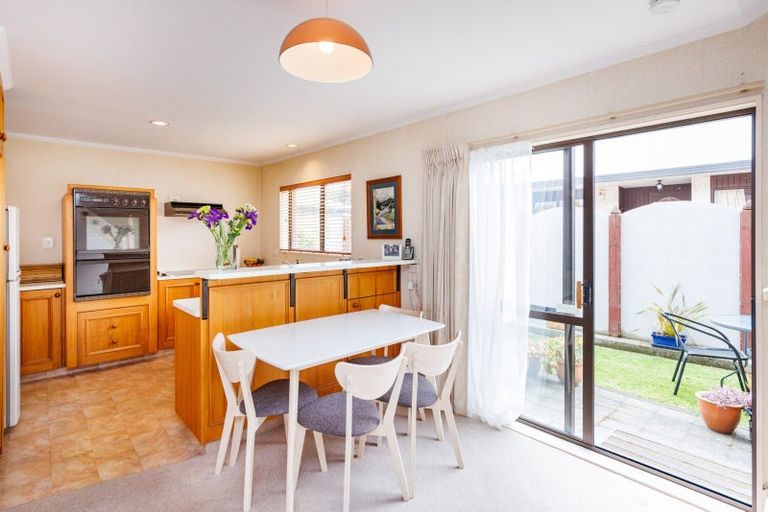 Photo of property in 483b Ruahine Street, Terrace End, Palmerston North, 4410