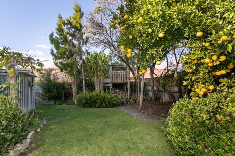 Photo of property in 6 Hall Street, Napier South, Napier, 4110