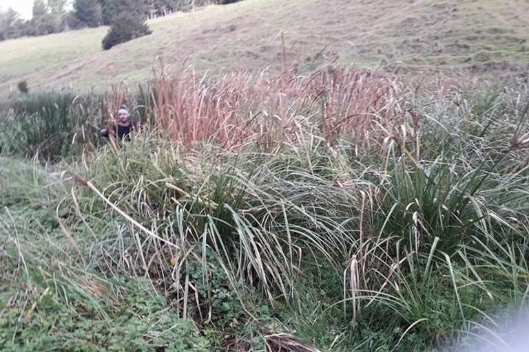 Photo of property in 160 Tunnel Road, Puhoi, Warkworth, 0994