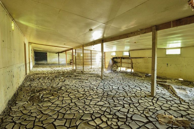 Photo of property in 24 Branson Road, Waipaoa, Gisborne, 4071