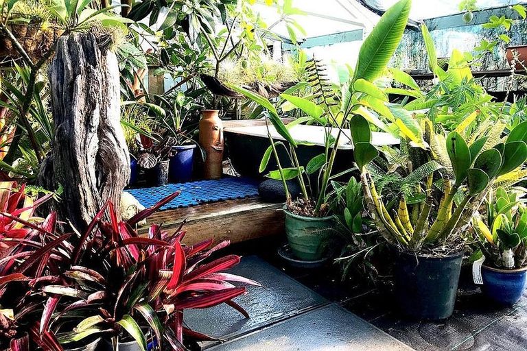 Photo of property in 28 Matakohe Road East, Matakohe, 0593