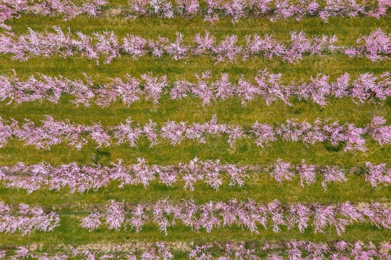 Photo of property in 192 Strode Road, Earnscleugh, Alexandra, 9391