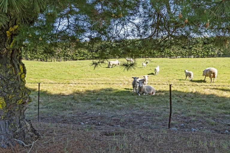 Photo of property in 111 Adams Road, West Melton, Christchurch, 7671