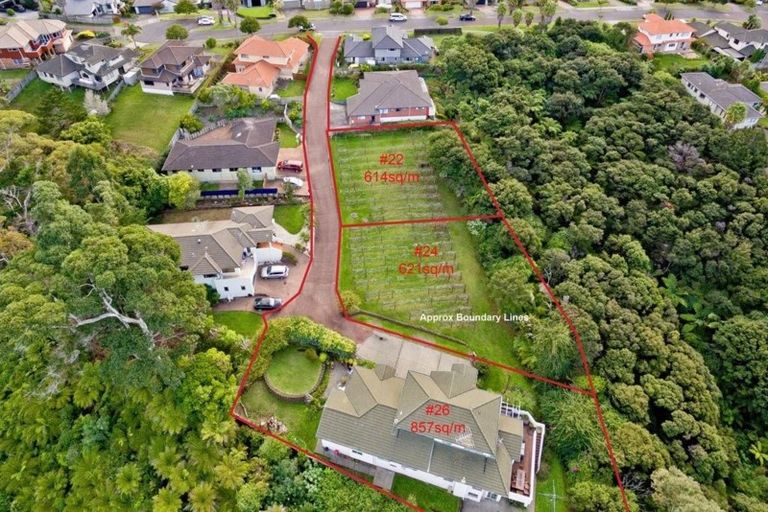 Photo of property in 24 Lorikeet Place, Unsworth Heights, Auckland, 0632