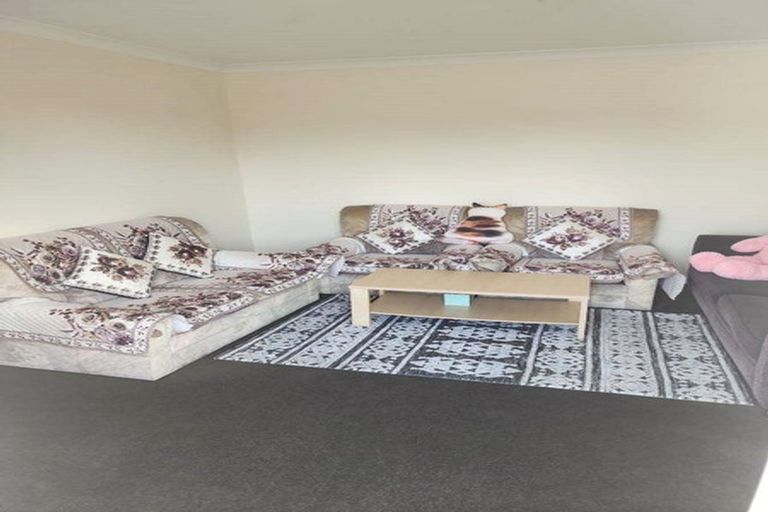 Photo of property in 46 Cook Street, Gate Pa, Tauranga, 3112