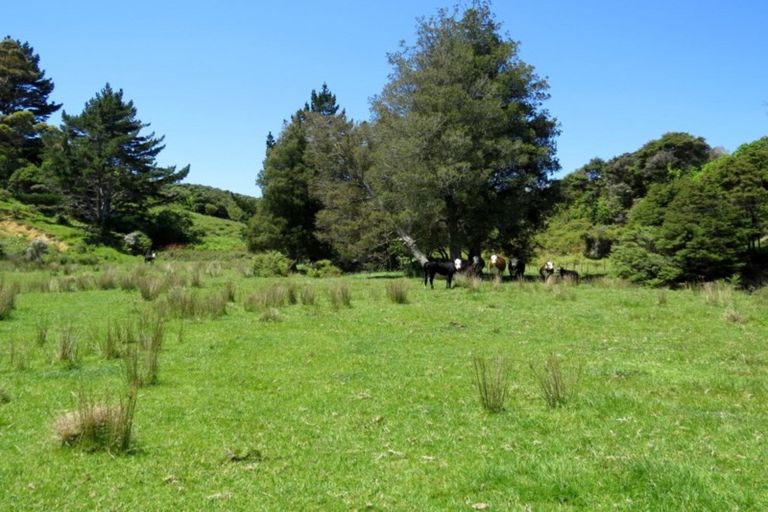 Photo of property in 880 Colville Road, Amodeo Bay, Coromandel, 3584