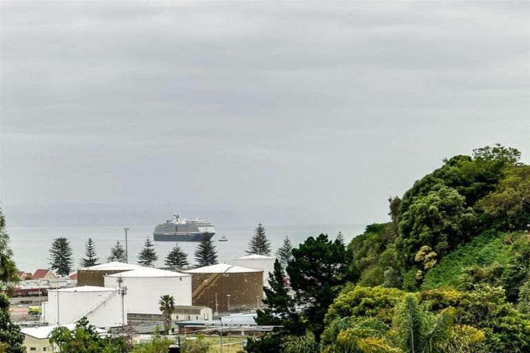 Photo of property in 1a Goldsmith Terrace, Hospital Hill, Napier, 4110