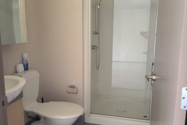 Photo of property in Dual Apartments, 210/142 Vivian Street, Te Aro, Wellington, 6011