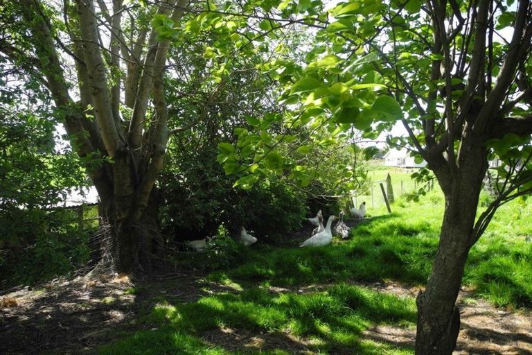 Photo of property in 128 Maytown Road, Waimate, 7978