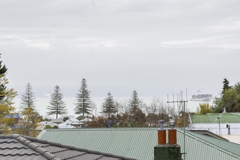 Photo of property in 151 Milton Road, Bluff Hill, Napier, 4110