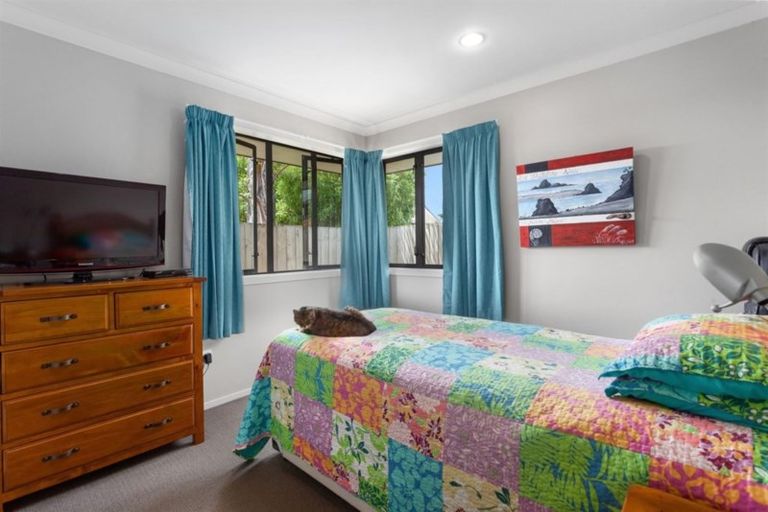 Photo of property in 157a James Street, Whakatane, 3120