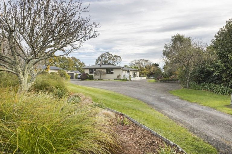Photo of property in 197 Tutaki Road, Kelvin Grove, Palmerston North, 4470
