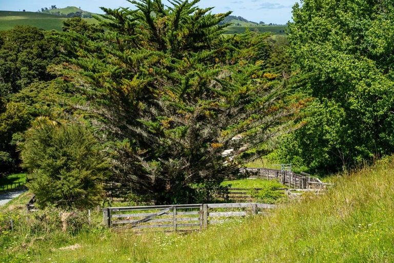 Photo of property in 278 Griffin Road, Maungaturoto, 0583