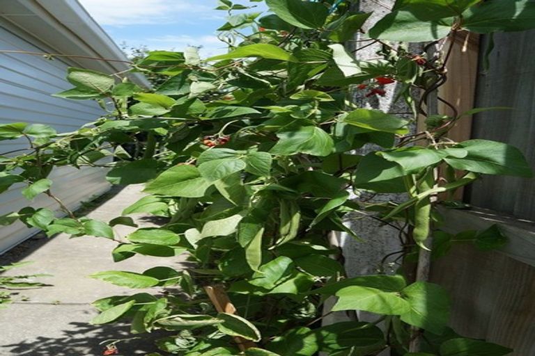 Photo of property in 31 Grahams Road, Ilam, Christchurch, 8041