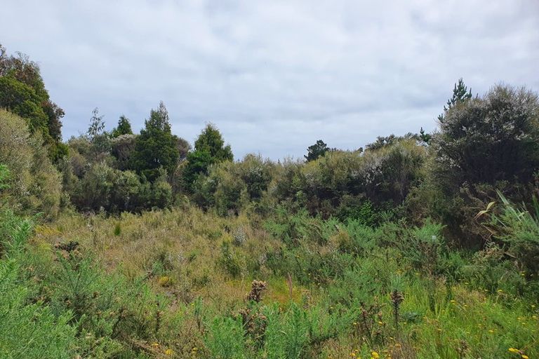 Photo of property in 18 Sanctuary Place, Kumara Junction, Hokitika, 7882