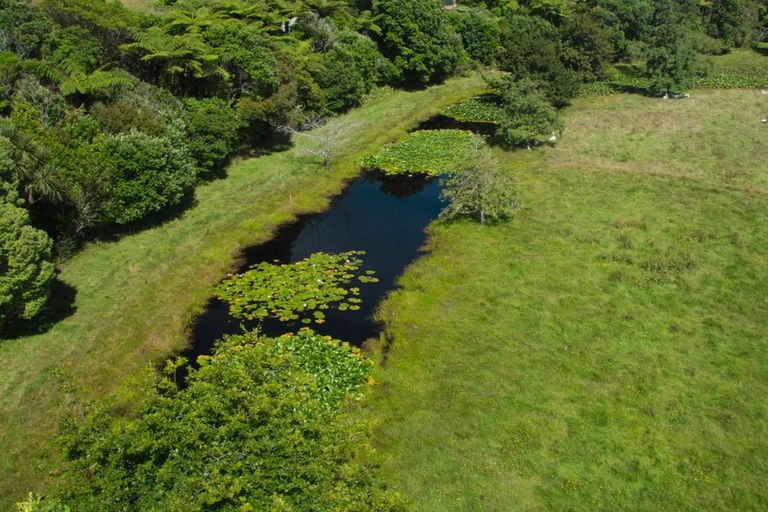 Photo of property in 68 Saltwater Creek Road, Rutherglen, Greymouth, 7805