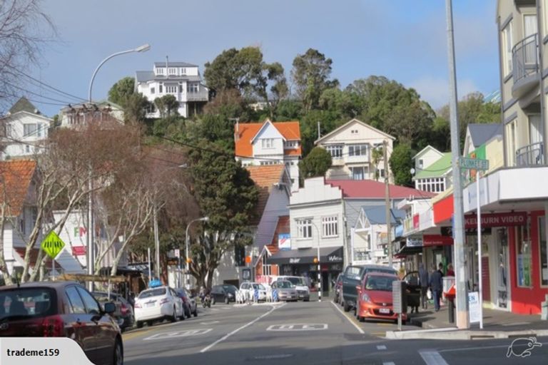 Photo of property in 13 Plunket Street, Kelburn, Wellington, 6012