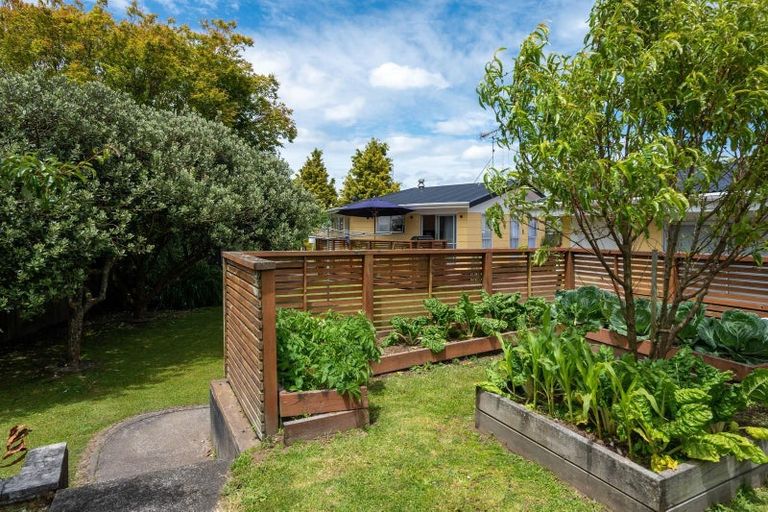 Photo of property in 4 Waikato Place, Tokoroa, 3420