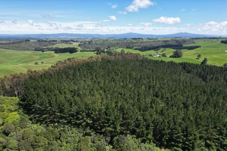 Photo of property in 1401 Whangamata Road, Marotiri, Taupo, 3377