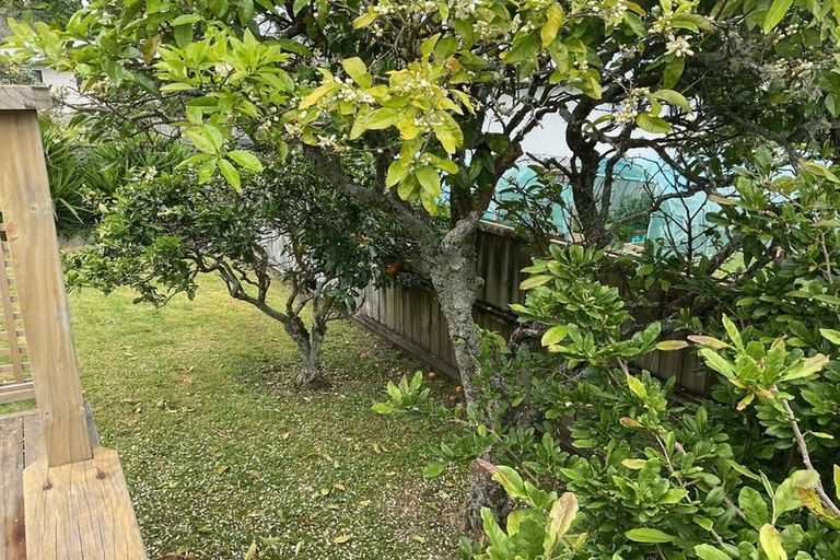 Photo of property in 24a Totara View, Wellsford, 0900