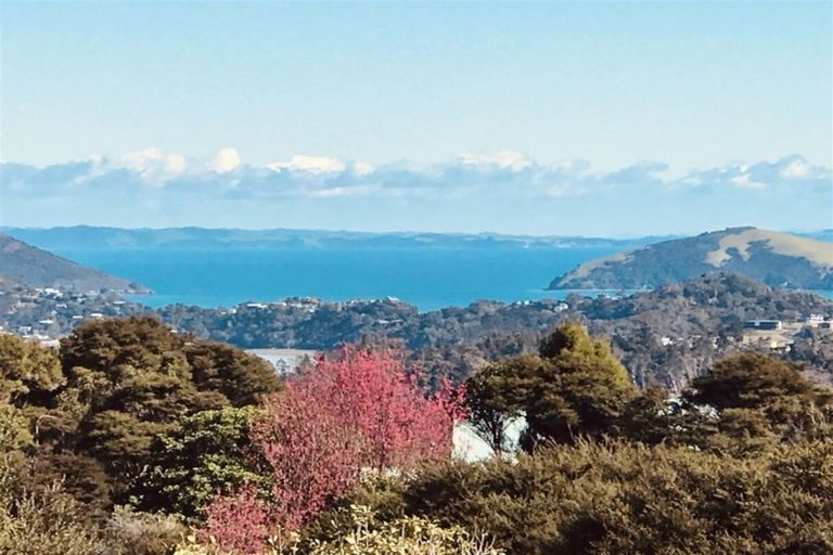 Photo of property in 850 Buffalo Road, Coromandel, 3506