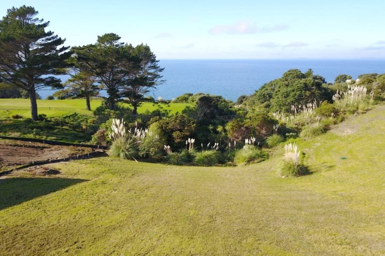 Photo of property in 15 Palm View Terrace, Gulf Harbour, Whangaparaoa, 0930