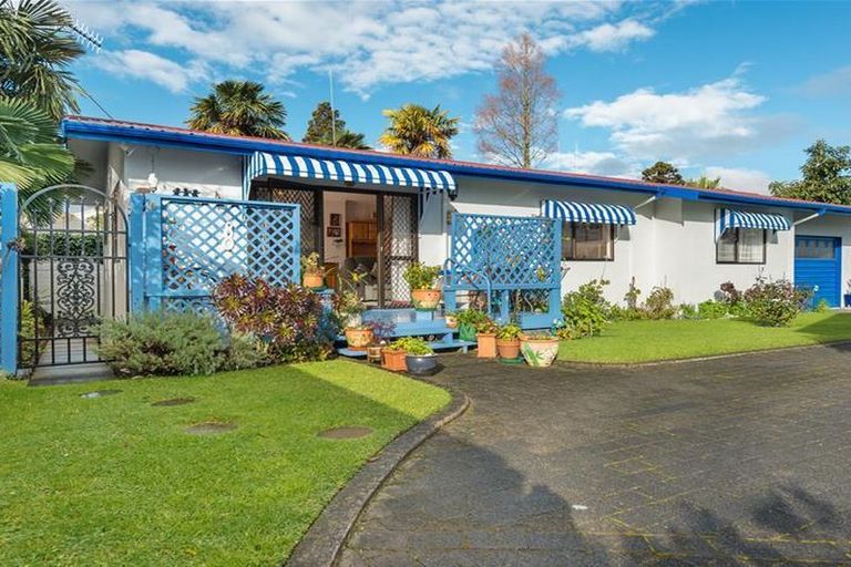 Photo of property in 80 Myres Street, Otumoetai, Tauranga, 3110