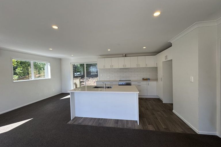 Photo of property in 14a Glenview Terrace, Glenview, Hamilton, 3206