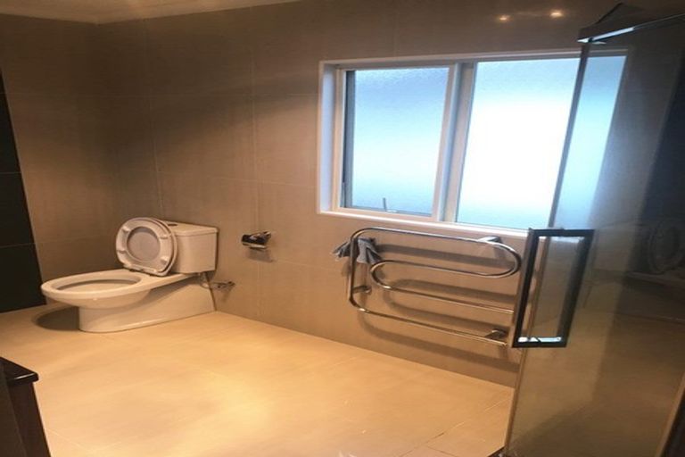 Photo of property in 20 Mandival Avenue, Flat Bush, Auckland, 2019