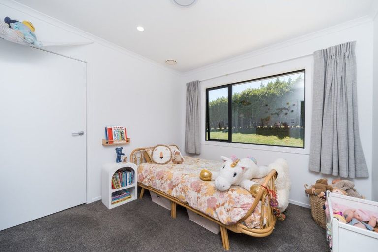 Photo of property in 235e Watershed Road, Bunnythorpe, Palmerston North, 4470