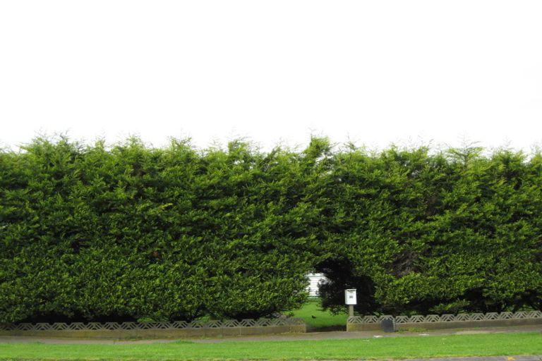 Photo of property in 36 Browne Street, Waitara, 4320