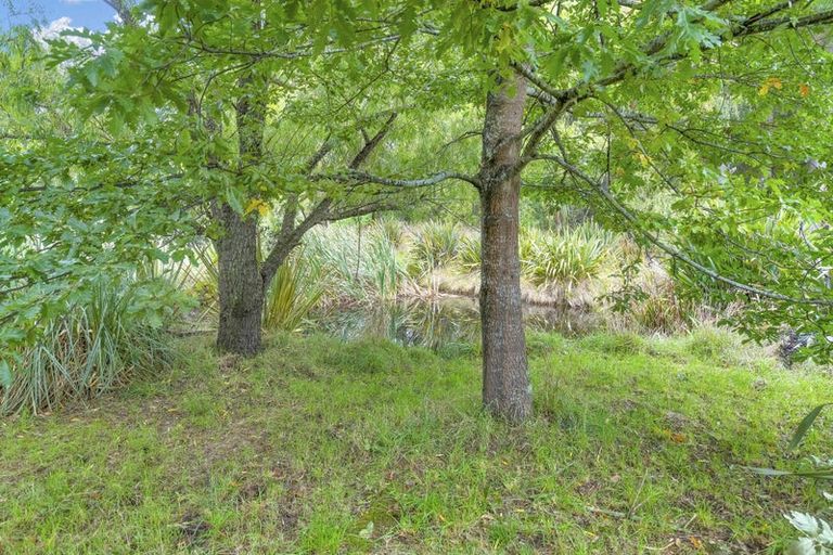 Photo of property in 161 Ward Road, Cheviot, 7381