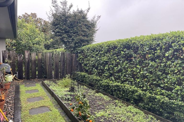 Photo of property in 44 Benmore Crescent, Pyes Pa, Tauranga, 3112